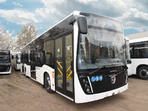 5299-30-52 городской, полунизкопольный 5299-30-52 городской, полунизкопольный